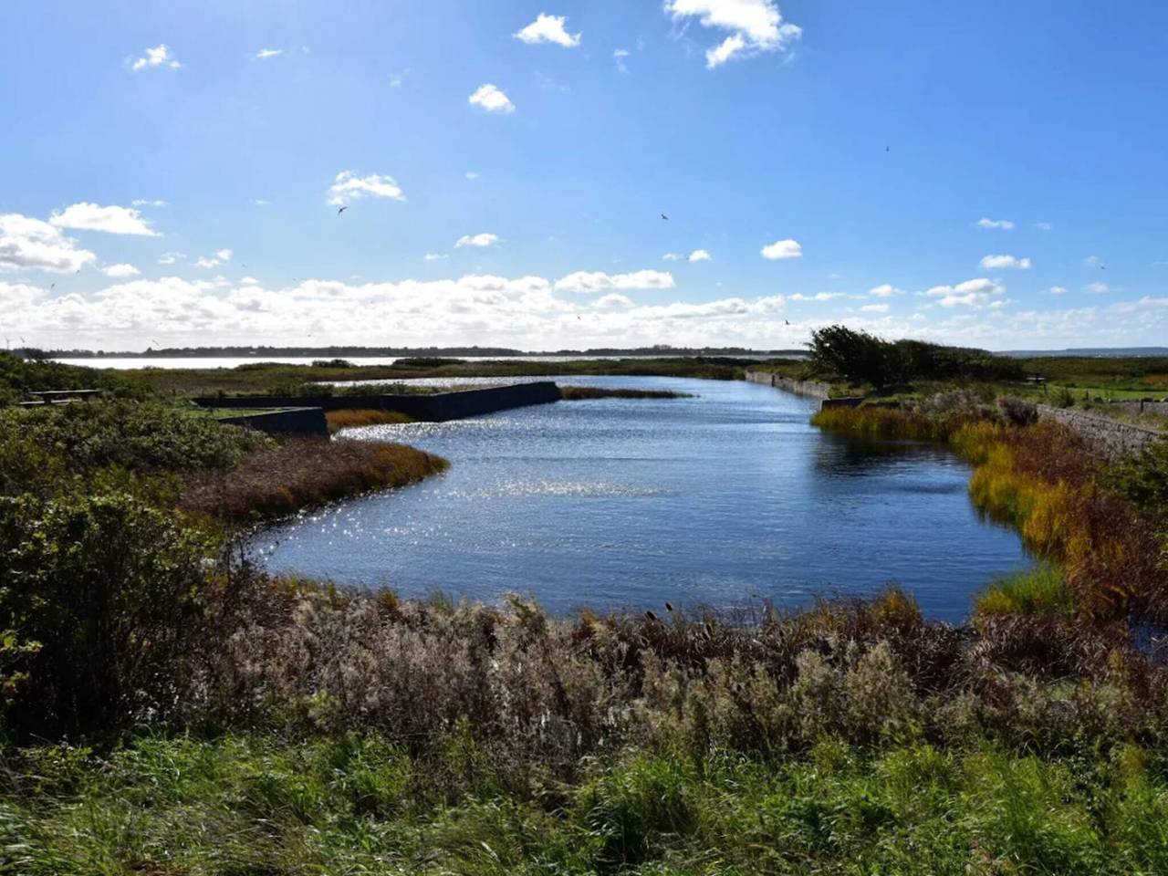8 Personen Ferienhaus in Fur in Fur, Limfjord in Westjütland