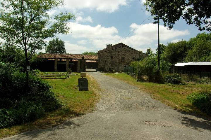 Location de vacances pour 2 personnes, avec piscine et terrasse à La Forêt-sur-Sèvre - 4