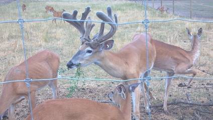 Lodge for 35 People in Wisconsin, USA, Photo 1