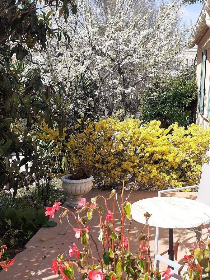 Hôtel pour 2 personnes, avec vue et jardin à Uchaud - 2