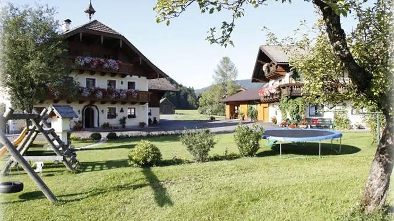Ganze Ferienwohnung, Ferienwohnung für 4 Personen (30 m²) in Faistenau in Salzkammergut-Berge, Faistenau