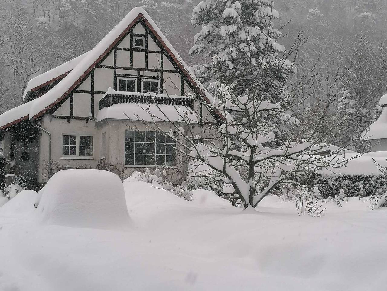 Ganze Ferienwohnung, Ferienwohnung Natur pur Mühlental Wernigerode - Ferienwohnung Natur pur in Wernigerode, Harzvorland