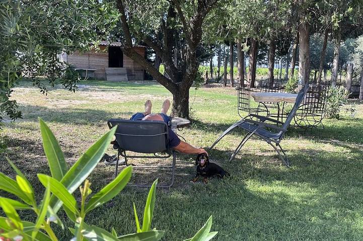 Gîte pour 2 personnes, avec jardin et terrasse - 1