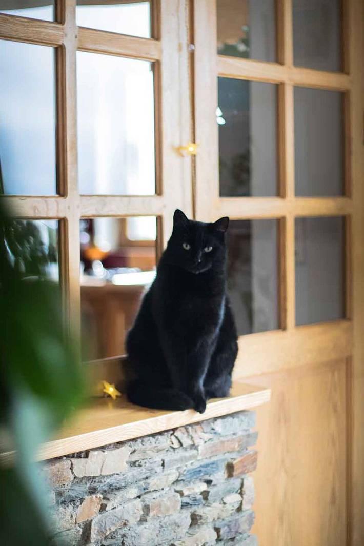 Chambre d’hôte pour 4 personnes, avec jacuzzi et jardin, animaux acceptés dans Lozère - 3
