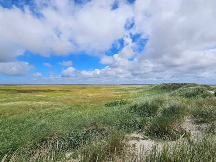 Ferienhaus für 10 Personen, mit Terrasse und Sauna, kinderfreundlich auf Rømø - 4