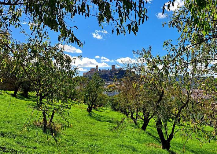 Location de vacances pour 7 personnes, avec jardin et vue, animaux acceptés à Alcalá la Real - 2