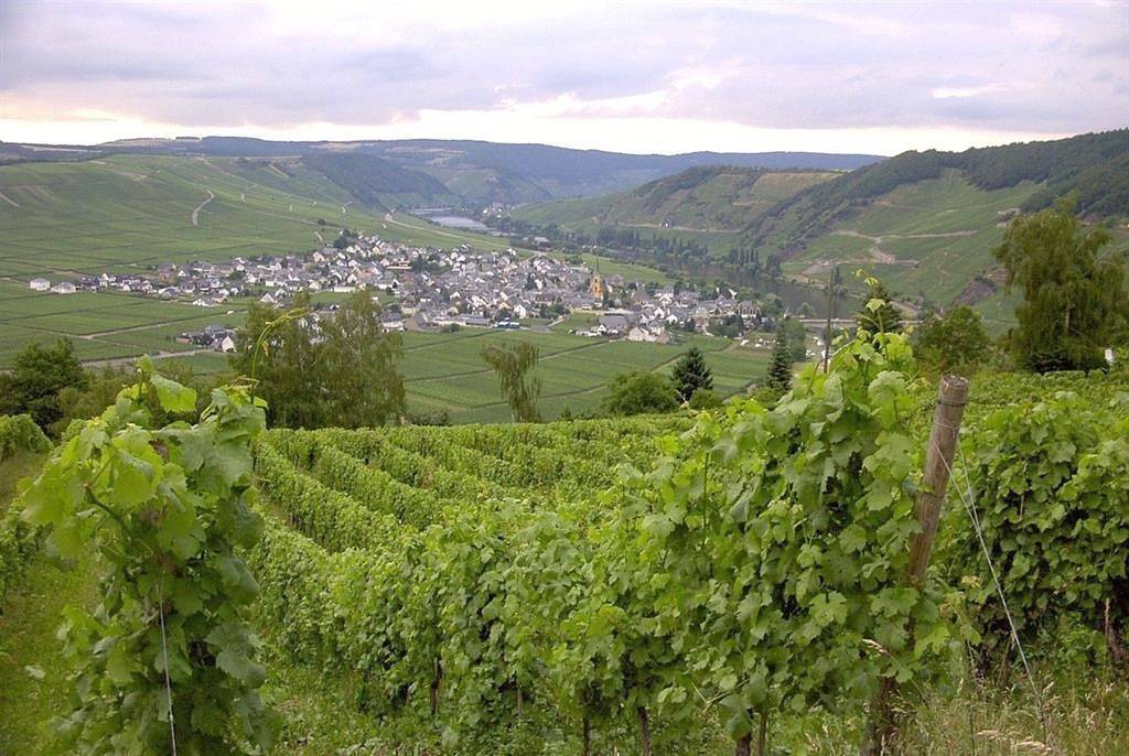 Ganze Ferienwohnung, Feriengästehaus Seibel in Trittenheim, Moseleifel
