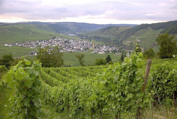 Ferienwohnung für 6 Personen, mit Garten und Balkon in Schweich an der Römischen Weinstraße - 2
