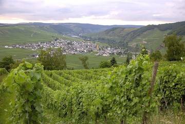 Vakantieappartement voor 2 Personen in Trittenheim, Moseleifel, Afbeelding 1