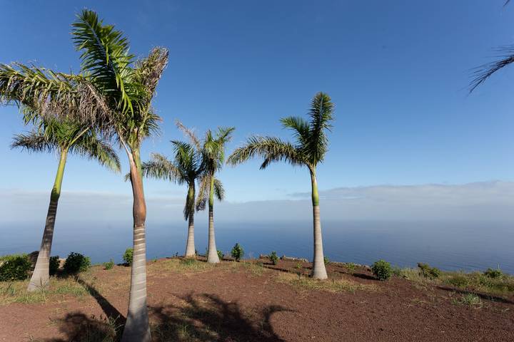 Gîte pour 3 personnes, avec terrasse et jardin à La Matanza de Acentejo - 2