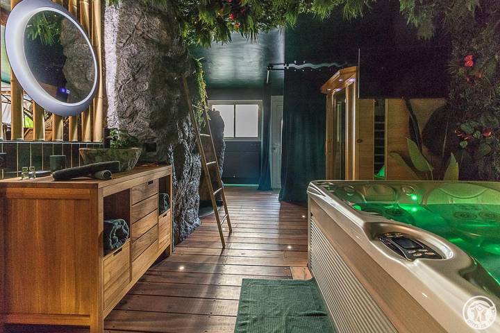 Gîte pour 2 personnes, avec jacuzzi ainsi que jardin et sauna à Toulouse - 4