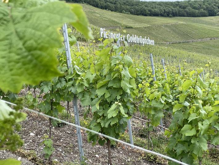 Ferienwohnung für 2 Personen, mit Garten und Terrasse in Bernkastel-Kues & Umgebung - 3