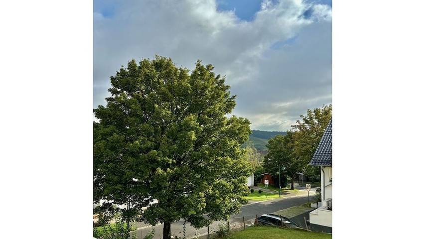 Ferienhaus für 2 Personen, mit Balkon im Ahrtal - 3