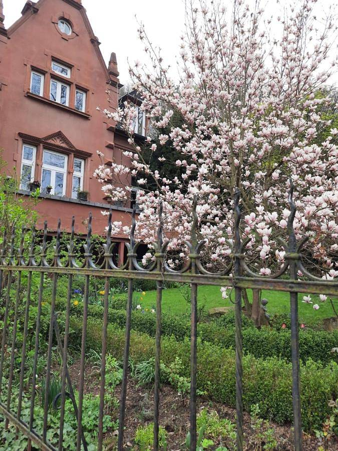 Ferienwohnung für 4 Personen, mit Terrasse und Garten sowie Ausblick in Meisenheim
