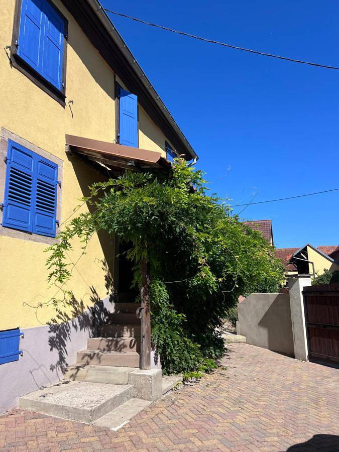 Location de vacances pour 10 personnes, avec jardin à Epfig - 2