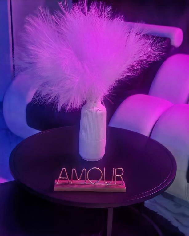 Location de vacances pour 2 personnes, avec jacuzzi et piscine ainsi que terrasse et jardin à Feyzin - 3