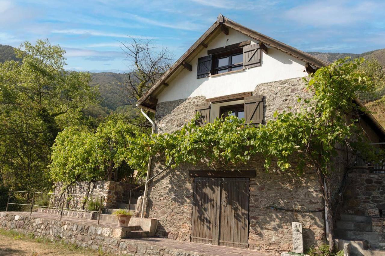 La petite châtaigne in Valdeblore, Région de Nice