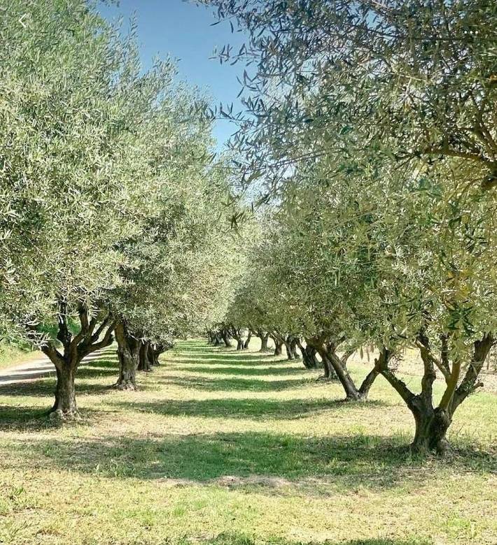 Location de vacances pour 4 personnes, avec Terrasse ainsi que Jardin et Piscine à Bonnieux - 2