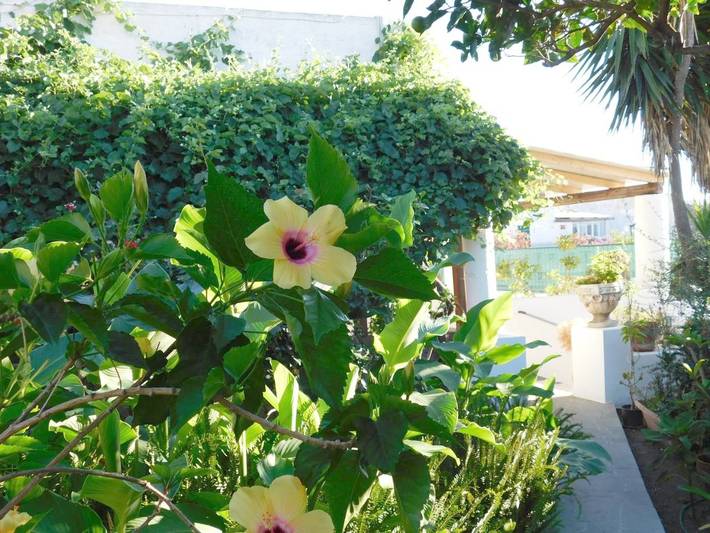 Ferienhaus für 2 Personen, mit Terrasse und Garten sowie Ausblick auf Stromboli