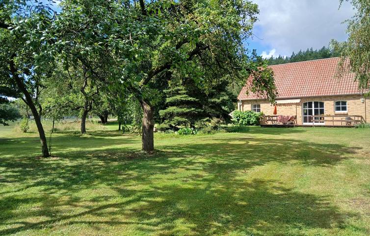 Ferienhaus für 5 Personen, mit Terrasse in Mecklenburgische Seenplatte - 4