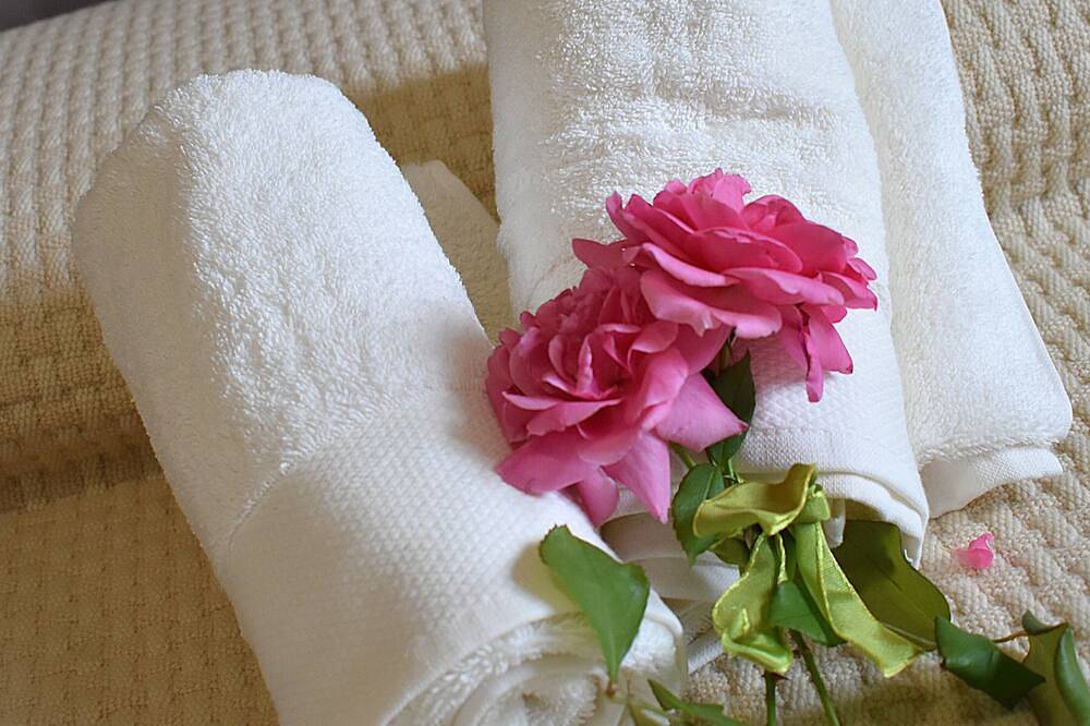 Appartamento intero, La Casa di Abe, gusti moderni e Colline di Prosecco in Pieve di Soligo, Provincia di Treviso