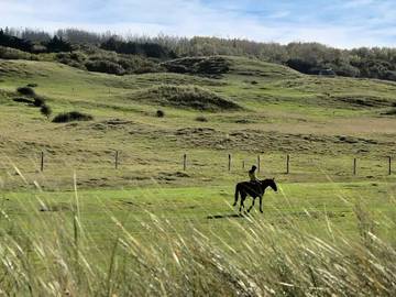 Location de vacances pour 6 personnes, avec terrasse à Hauteville-sur-Mer