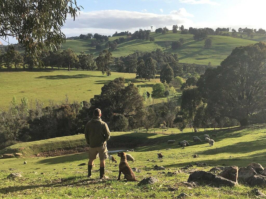 Balingup Highview Chalets in Balingup, Western Australia