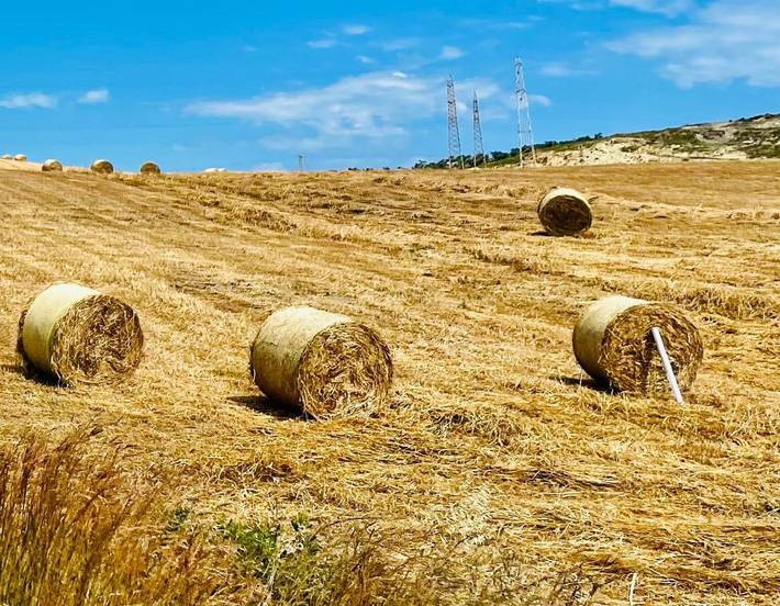 Location de vacances pour 2 personnes, avec jardin ainsi que terrasse et vue, animaux acceptés à Strongoli - 4
