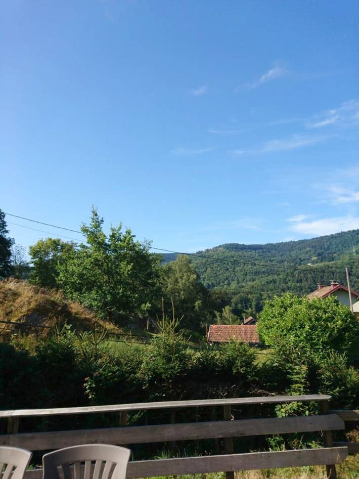 Location de vacances pour 11 personnes, avec vue et jardin, animaux acceptés à Thiéfosse - 3