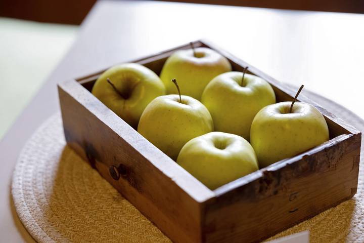 Ferienwohnung für 2 Personen, mit Garten im Vinschgau - 4