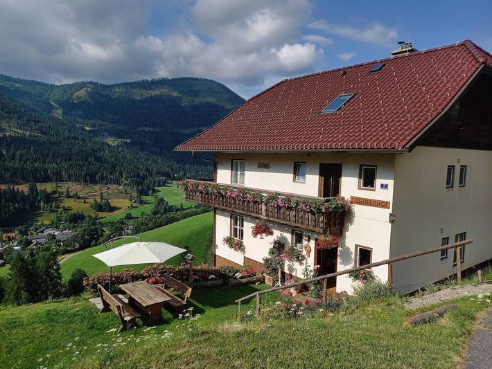 Bauernhaus für 5 Personen, mit Ausblick und Balkon, kinderfreundlich in Bad Kleinkirchheim - 3
