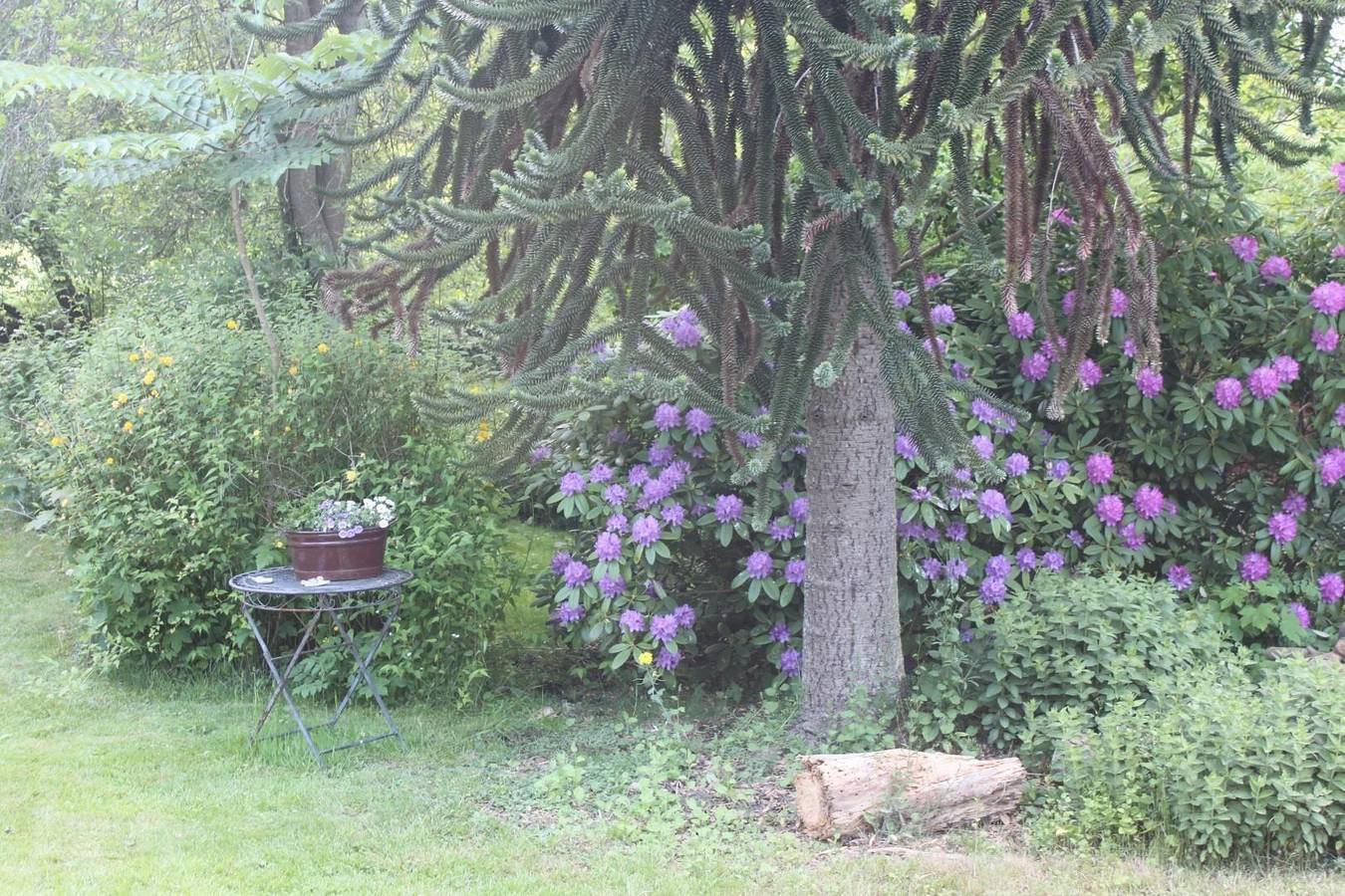 Ferienhaus in Stollhamm mit Großem Garten in Stollhamm, Butjadingen