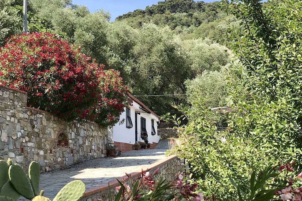 Ruhiges Urlaubsdomizil im Olivenhain in Diano San Pietro, Riviera di Ponente