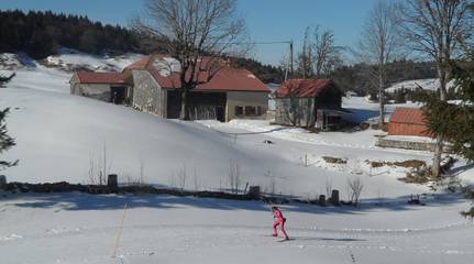 Gîte pour 10 personnes, avec jardin et terrasse dans Parc naturel régional du Haut-Jura
