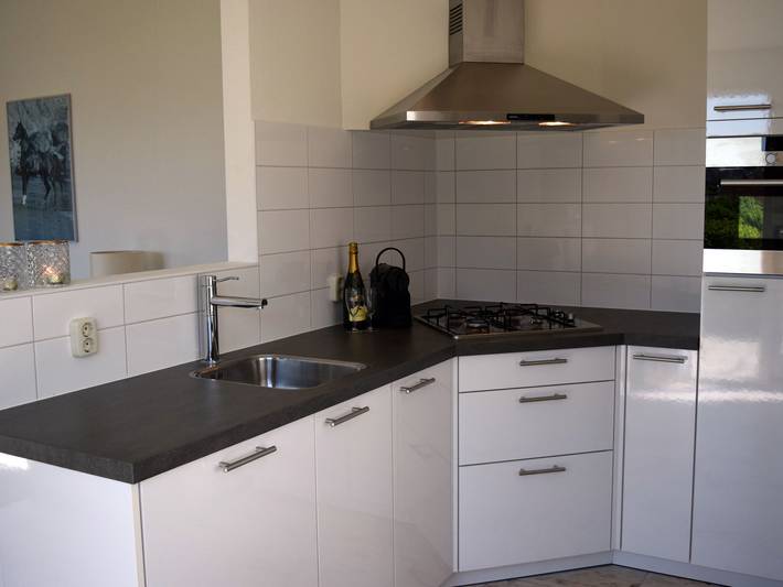 Ferienhaus für 5 Personen, mit Sauna und Terrasse sowie Garten, kinderfreundlich in Kamperland - 3