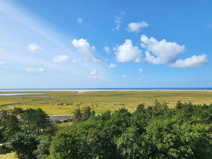 Ganze Wohnung, Ferienwohnung Prielkieker 57 mit direktem Meerblick in St. Peter-Bad, St. Peter-Ording
