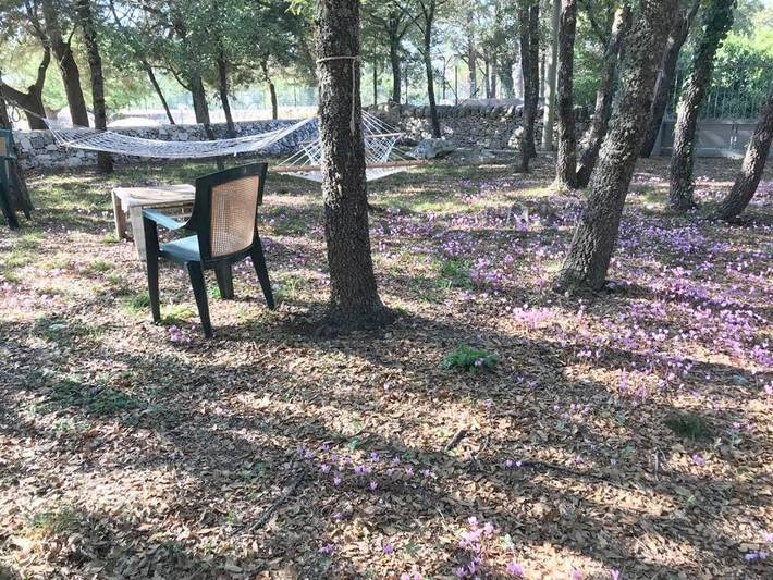 Chambre d’hôte pour 4 personnes, avec jardin et vue à Martina Franca - 3