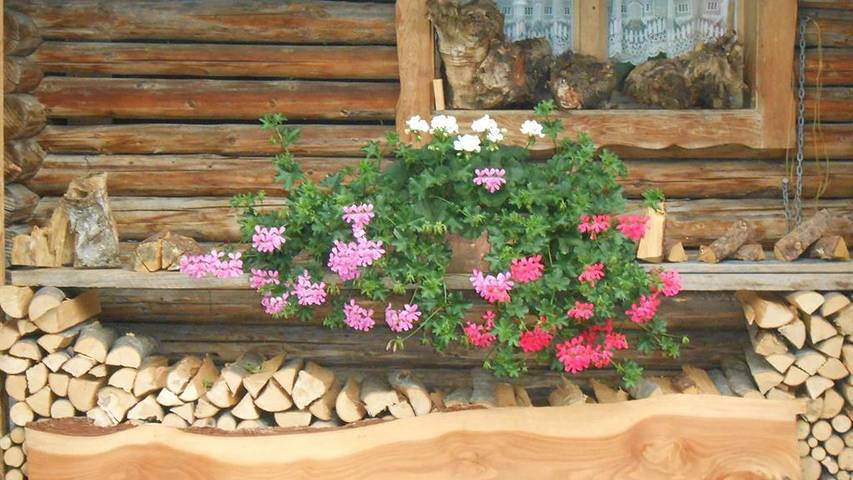 Gîte pour 3 personnes, avec sauna et balcon à Mittenwald - 3