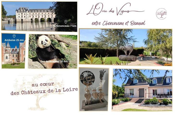 Chambre d’hôte pour 2 personnes, avec jardin ainsi que vue et terrasse à Saint-Georges-sur-Cher