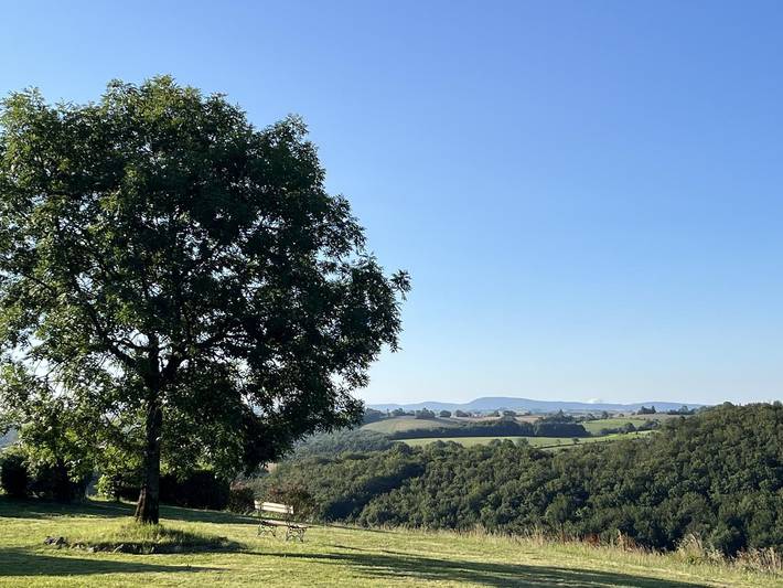 Gîte pour 5 personnes, avec piscine et jardin, animaux acceptés à Paulinet - 4