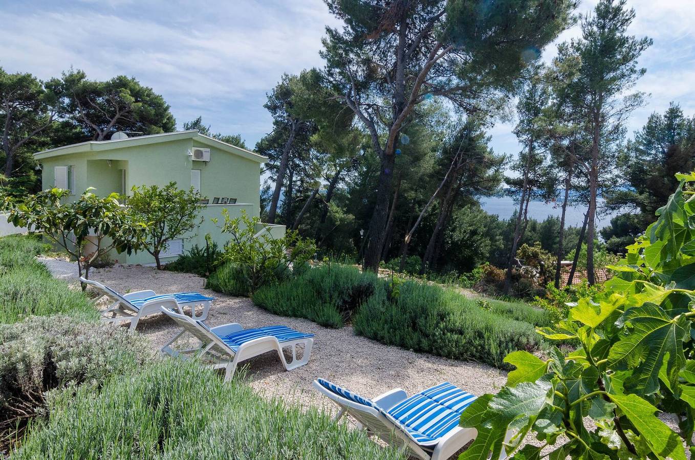 Ganze Wohnung, Ferienwohnung für 5 Personen mit Balkon/Terrasse in Orebic, Peljesac