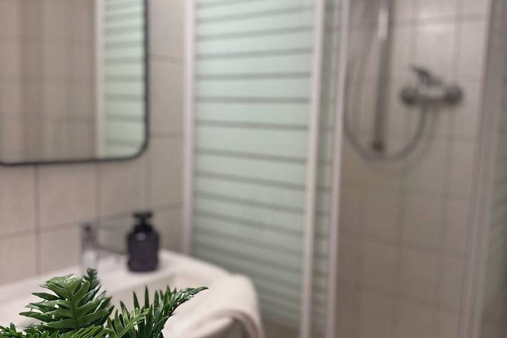 Ferienwohnung für 4 Personen, mit Haustier in Chemnitz