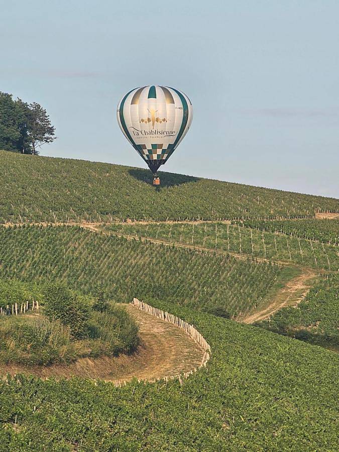Le Saint Vincent in Chablis, Région d'Auxerre