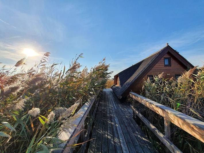 Chalet im See Nr. 44 in Rust (Burgenland), Leithaberg