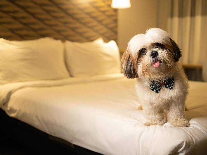 Pousadas para 2 pessoas, com animais de estimação em Juazeiro do Norte