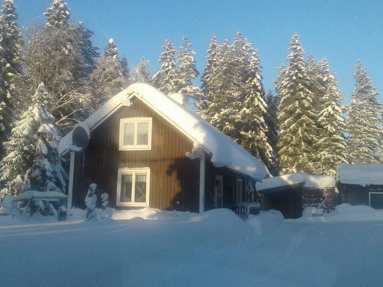 Gemütliches Ferienhaus am Polarkreis in Överkalix, Lappland (Schweden)