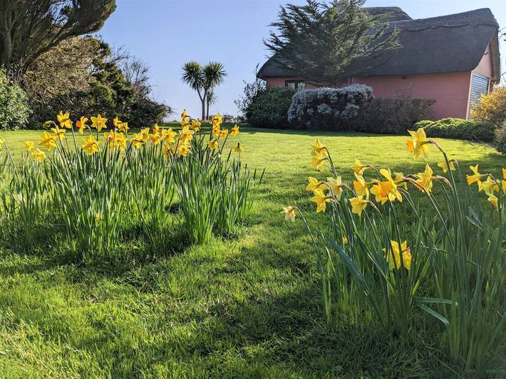 Cottage für 7 Personen in Shanklin, Isle of Wight