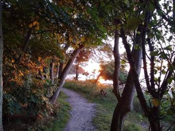 Ferieudlejning til 4 Personer i Asnæs, Odsherred, Billede 4