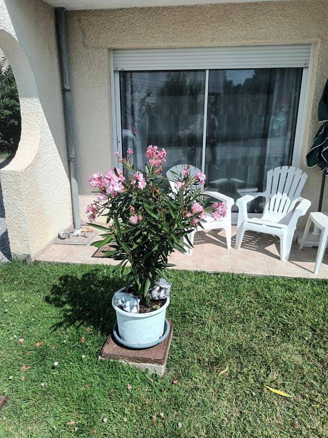 Apartamento de vacaciones para 2 personas, con vistas y jardín - 1