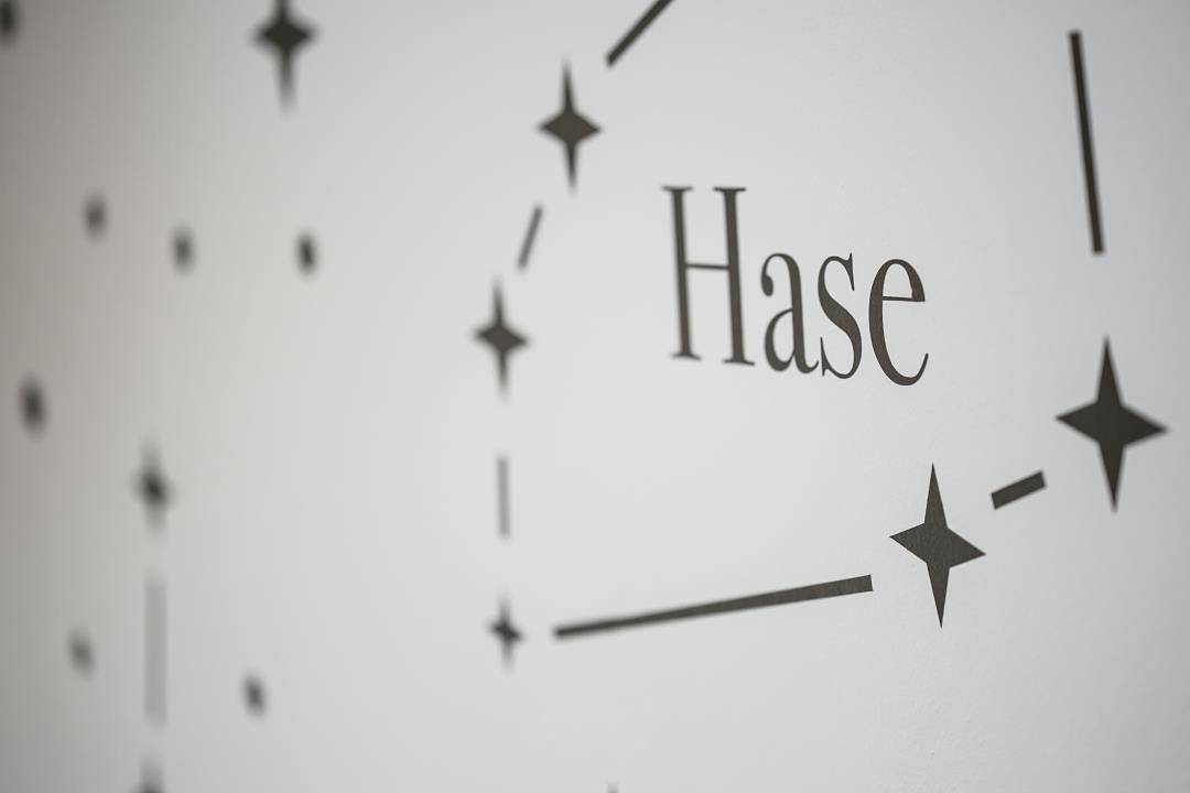 Ganze Ferienwohnung, Sternenhimmel - Ferienwohnung "Hase" Nr. 8 in Oberammergau in Oberammergau, Bayerische Alpen